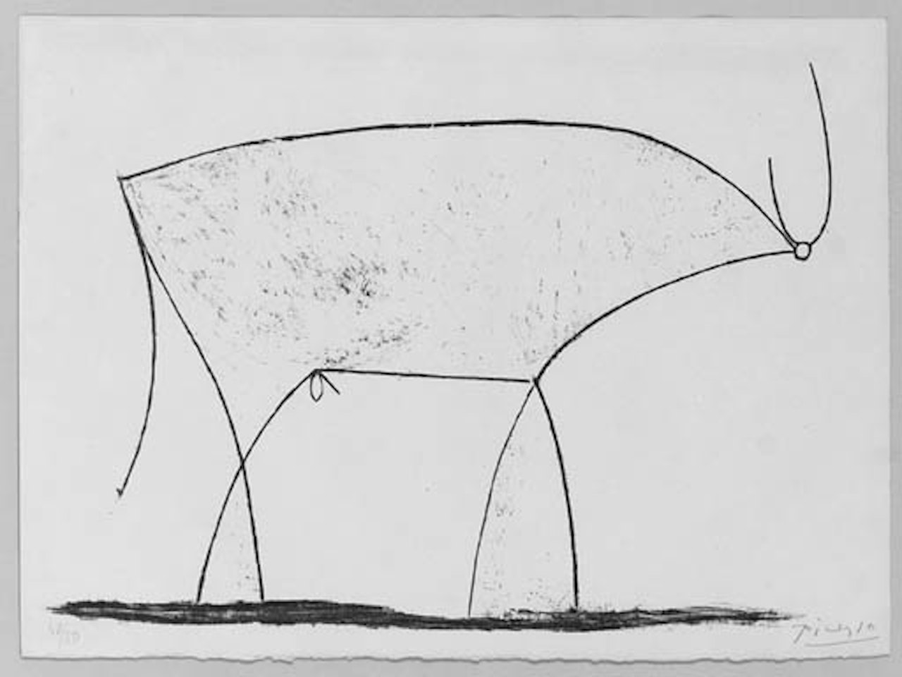 Le taureau by Pablo Picasso