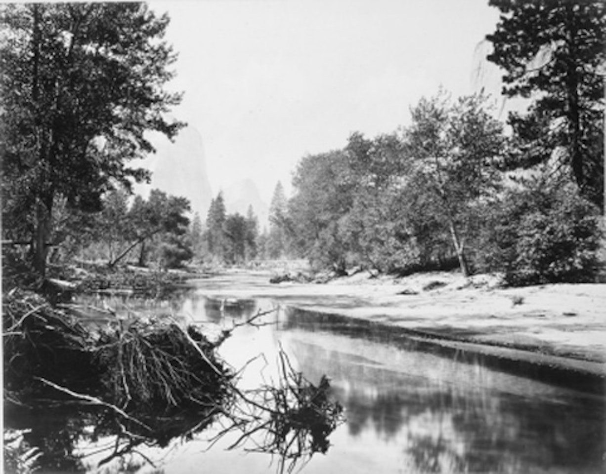 Sylvan Bar, Valley of Yosemites by Eadweard Muybridge