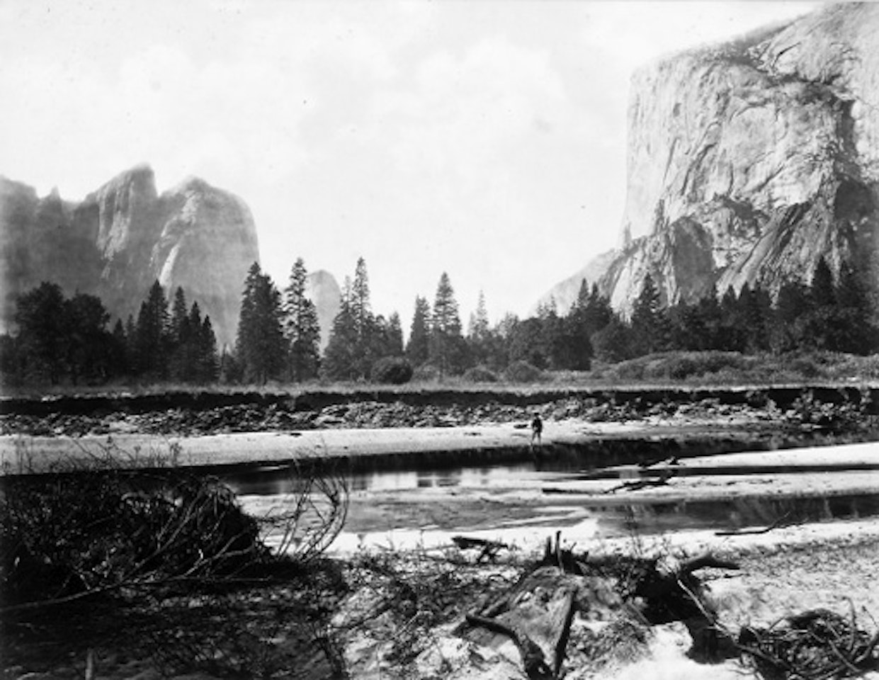 Valley of Yosemites from Sandy Run by Eadweard Muybridge