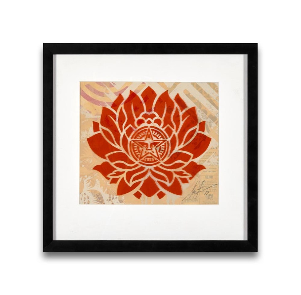 Star Lotus by Shepard Fairey
