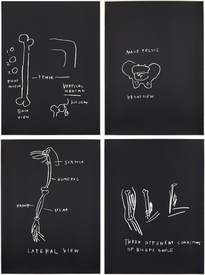 Femur, Vertical Median; Male Pelvis; Lateral View; and Three Different Conditions of Biceps Muscle, from Anatomy by Jean-Michel Basquiat