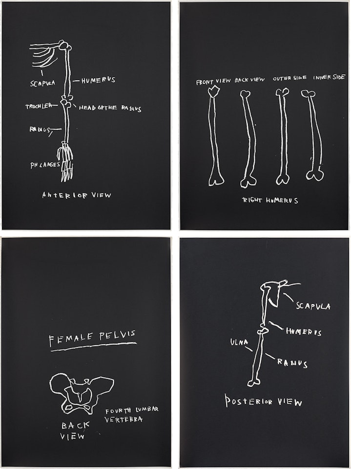 Anterior View; Right Humerus; Female Pelvis; and Posterior View, from Anatomy by Jean-Michel Basquiat