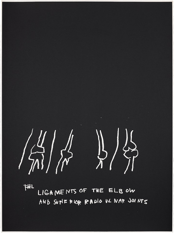 Ligament of the Elbow, Etc., from Anatomy by Jean-Michel Basquiat