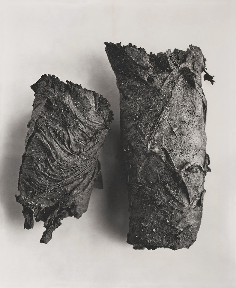 Cigarette No. 69 by Irving Penn