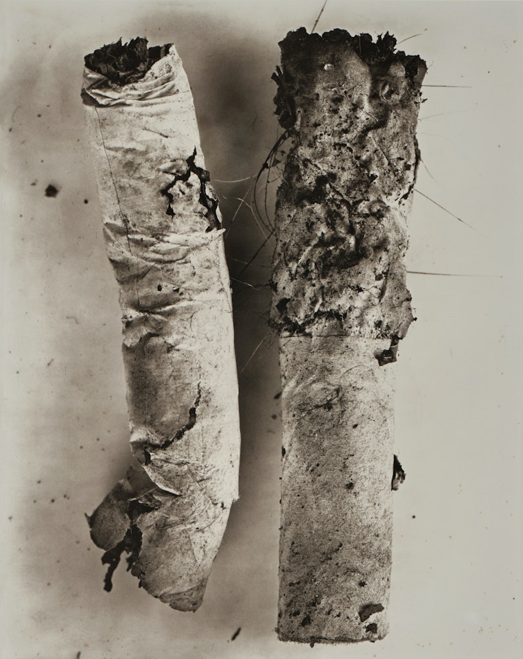 Cigarette No. 17 by Irving Penn