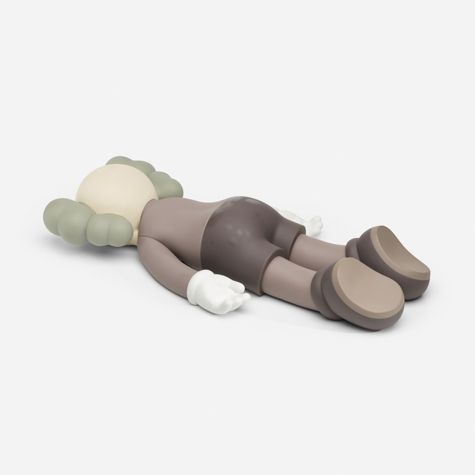 Companion 2020 (Brown) by Kaws