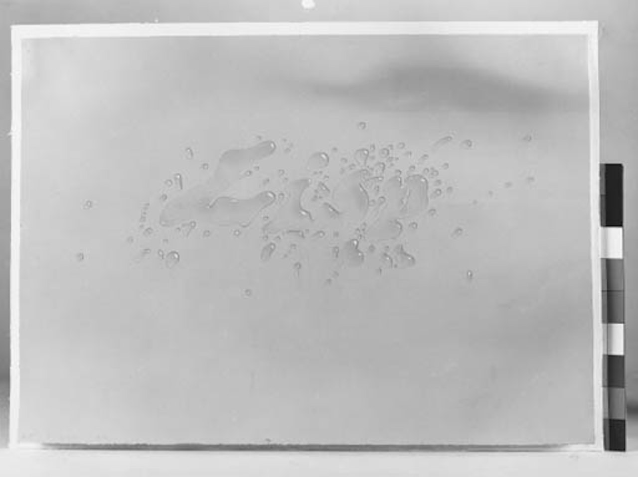 Lisp by Ed Ruscha
