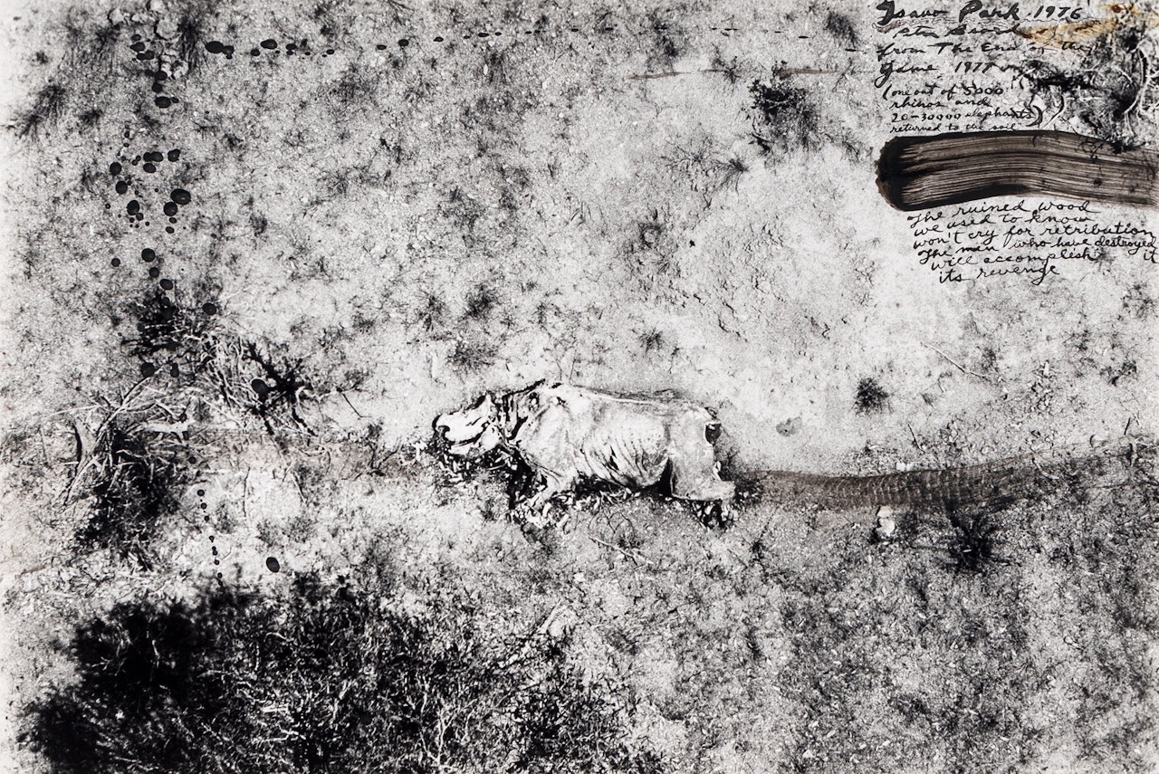 Tsavo Park, from "The End of the Game,"  by Peter Beard