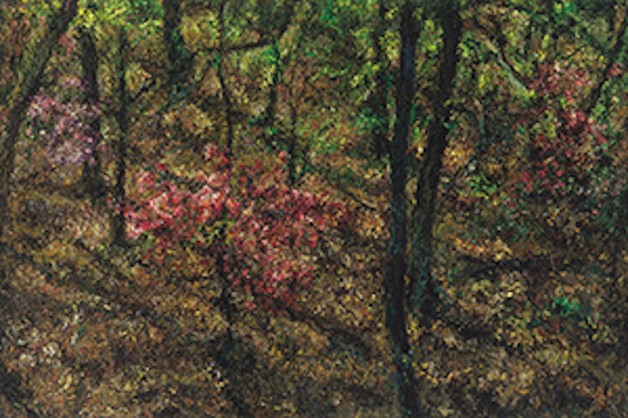 Hillside by Oh ChiGyun