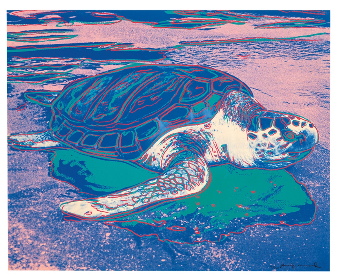 Turtle by Andy Warhol