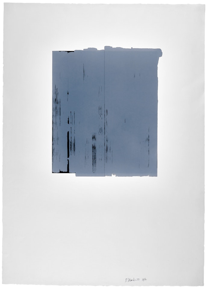 Two prints by the artist by Brice Marden