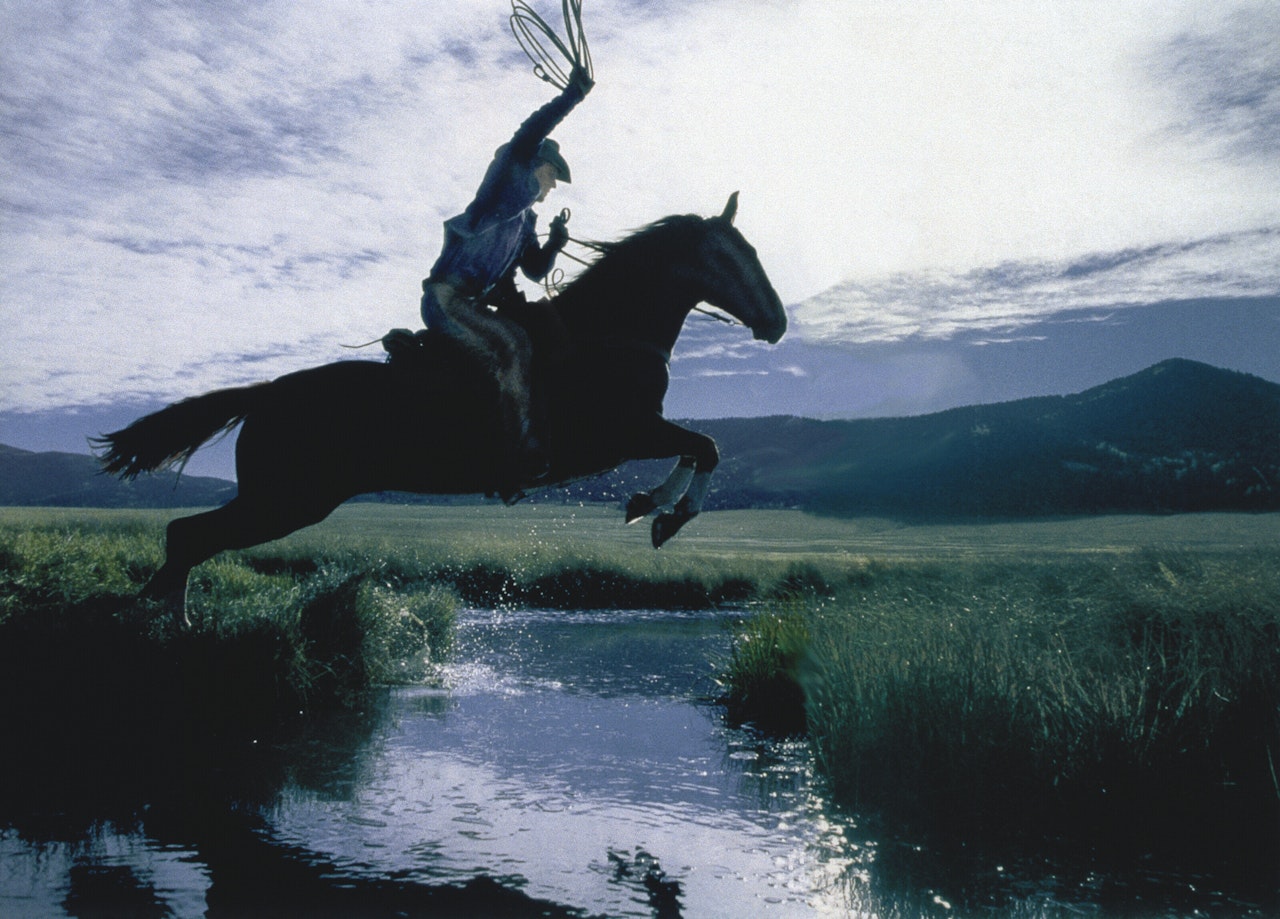Untitled (Cowboy) by Richard Prince