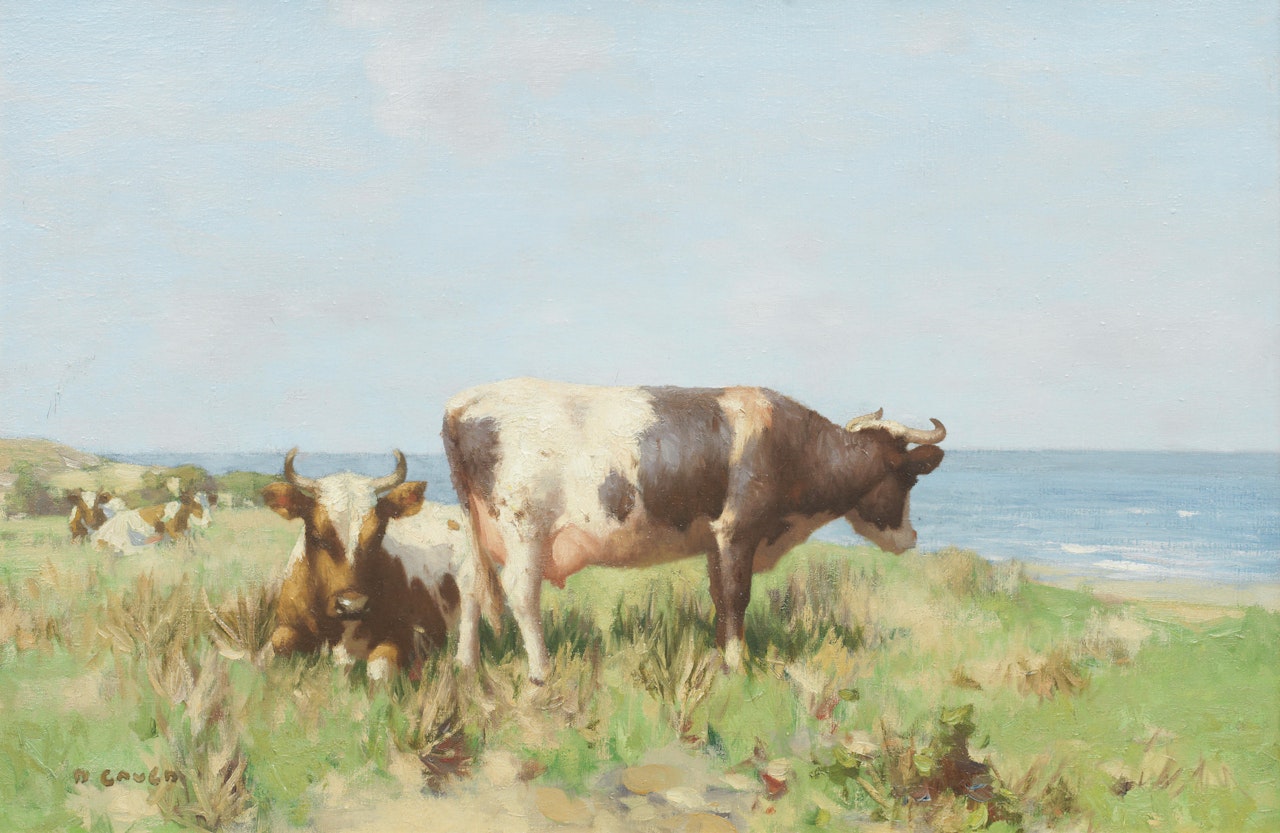 Cattle on a headland by David Gauld
