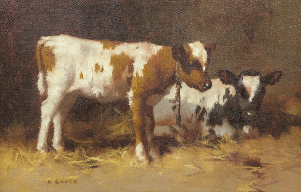 Calves in a stable by David Gauld