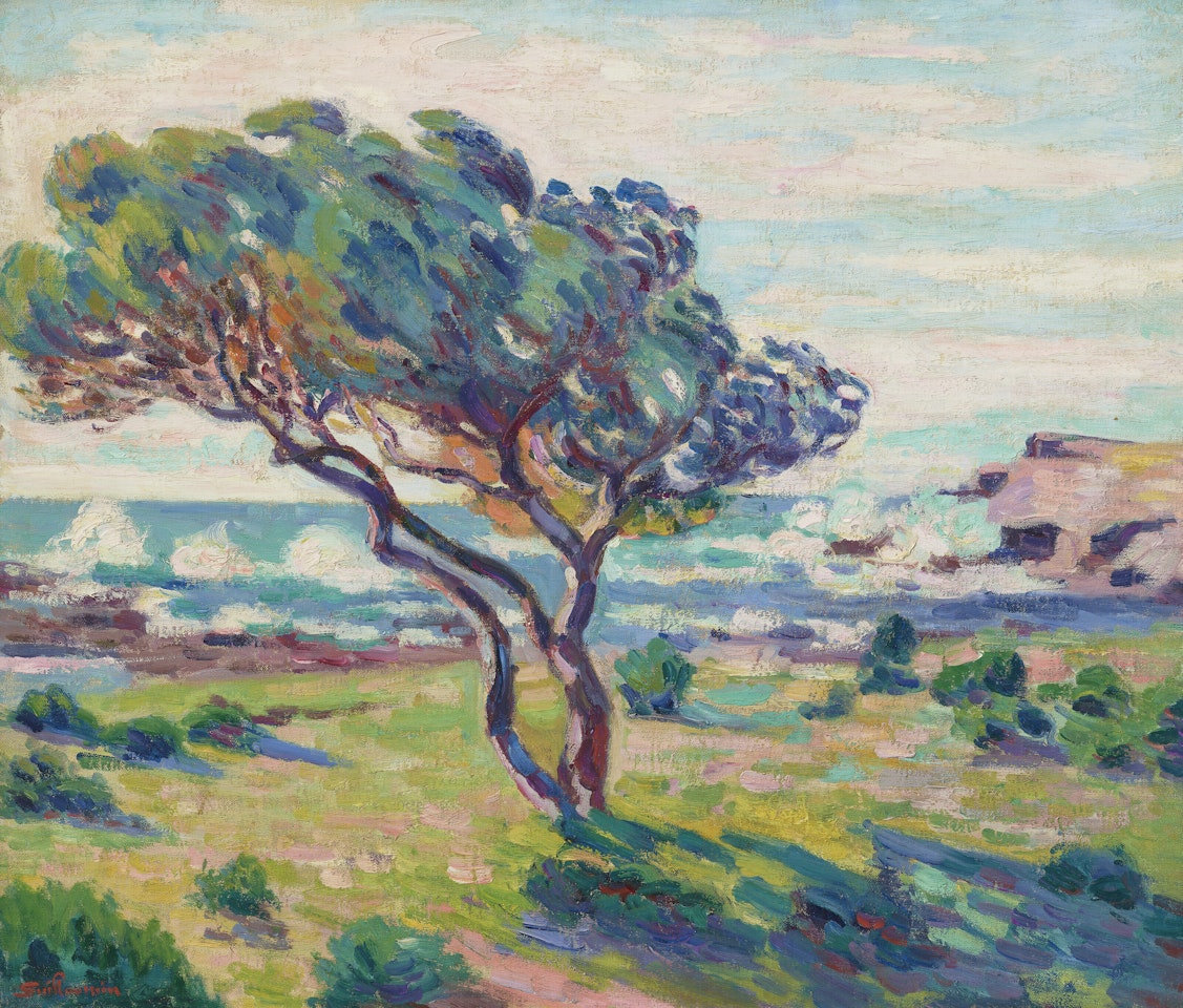 Paysage du midi, vue du Brusc by Armand Guillaumin