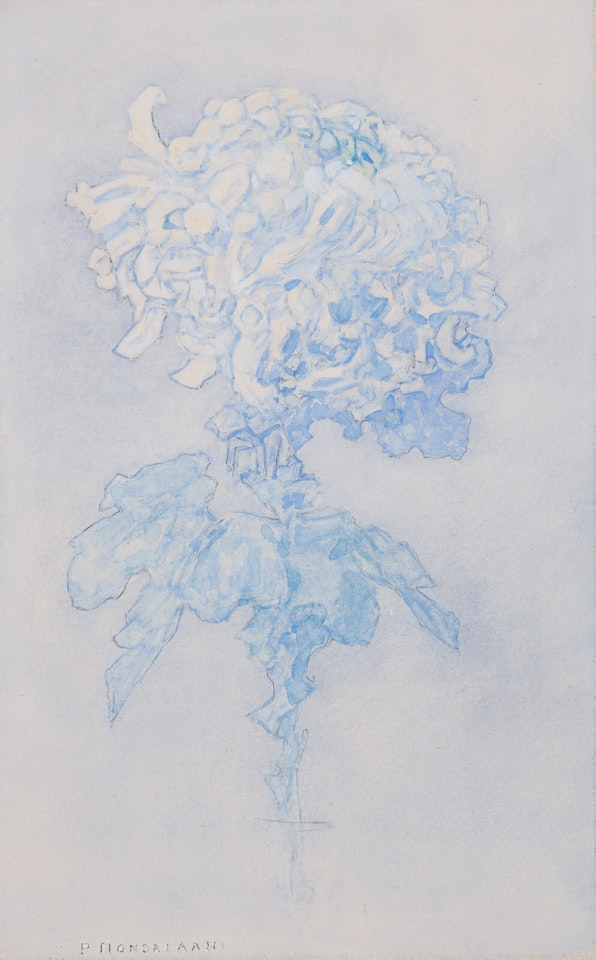 Chrysant by Piet Mondrian