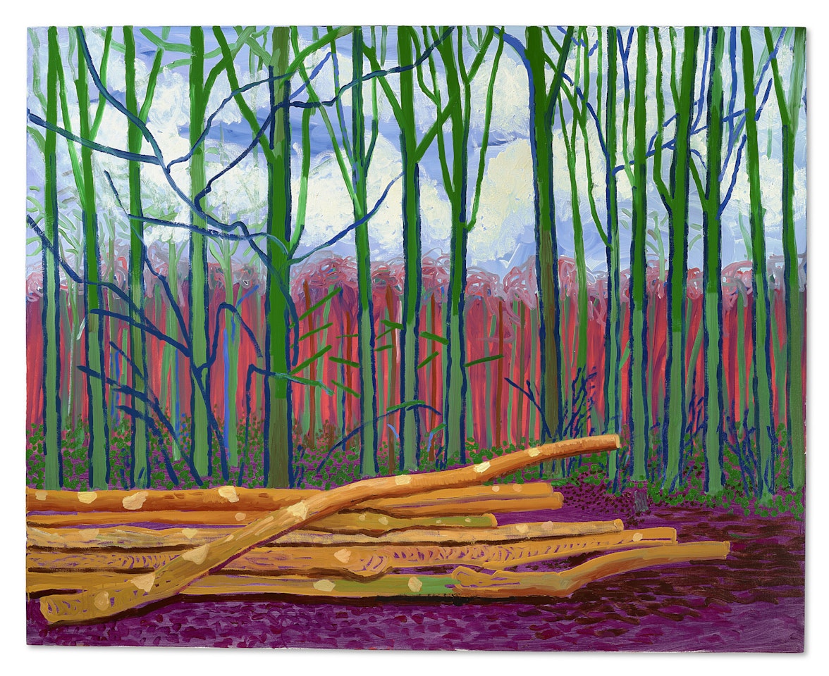 Felled Trees by David Hockney