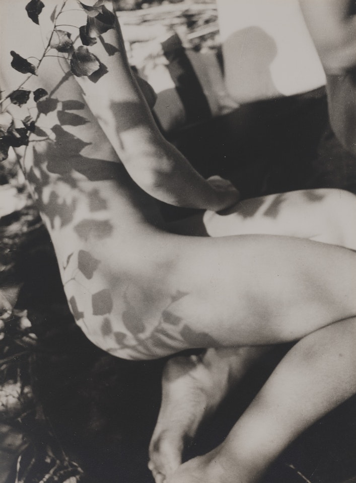 Akt (Nude), 1929 by László Moholy-Nagy