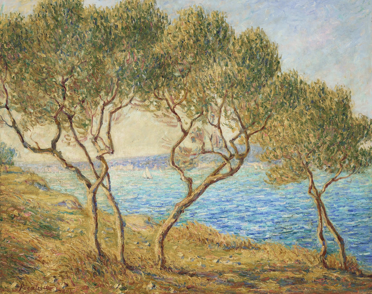 Les oliviers, effet de soleil aux Martigues by Francis Picabia