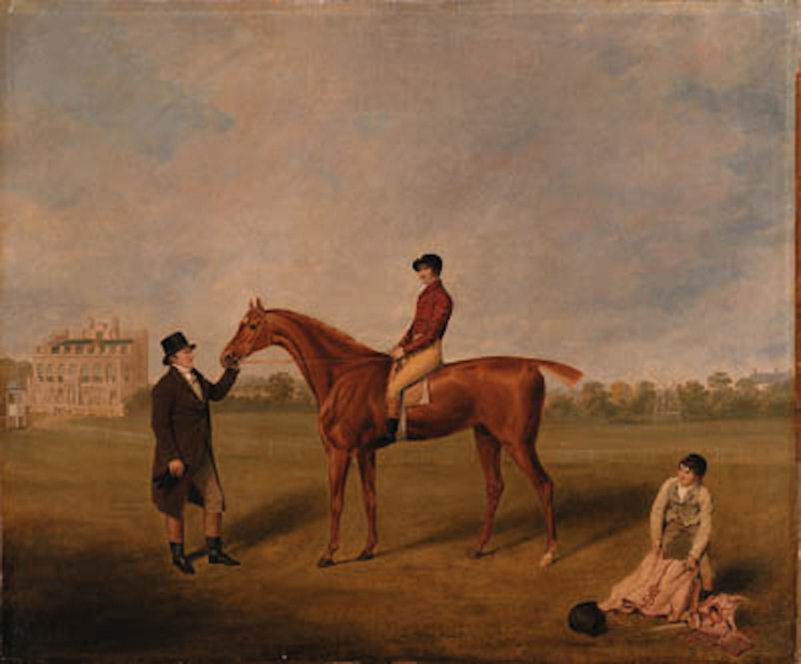 King David, racehorse with jockey up, William Henry Davis