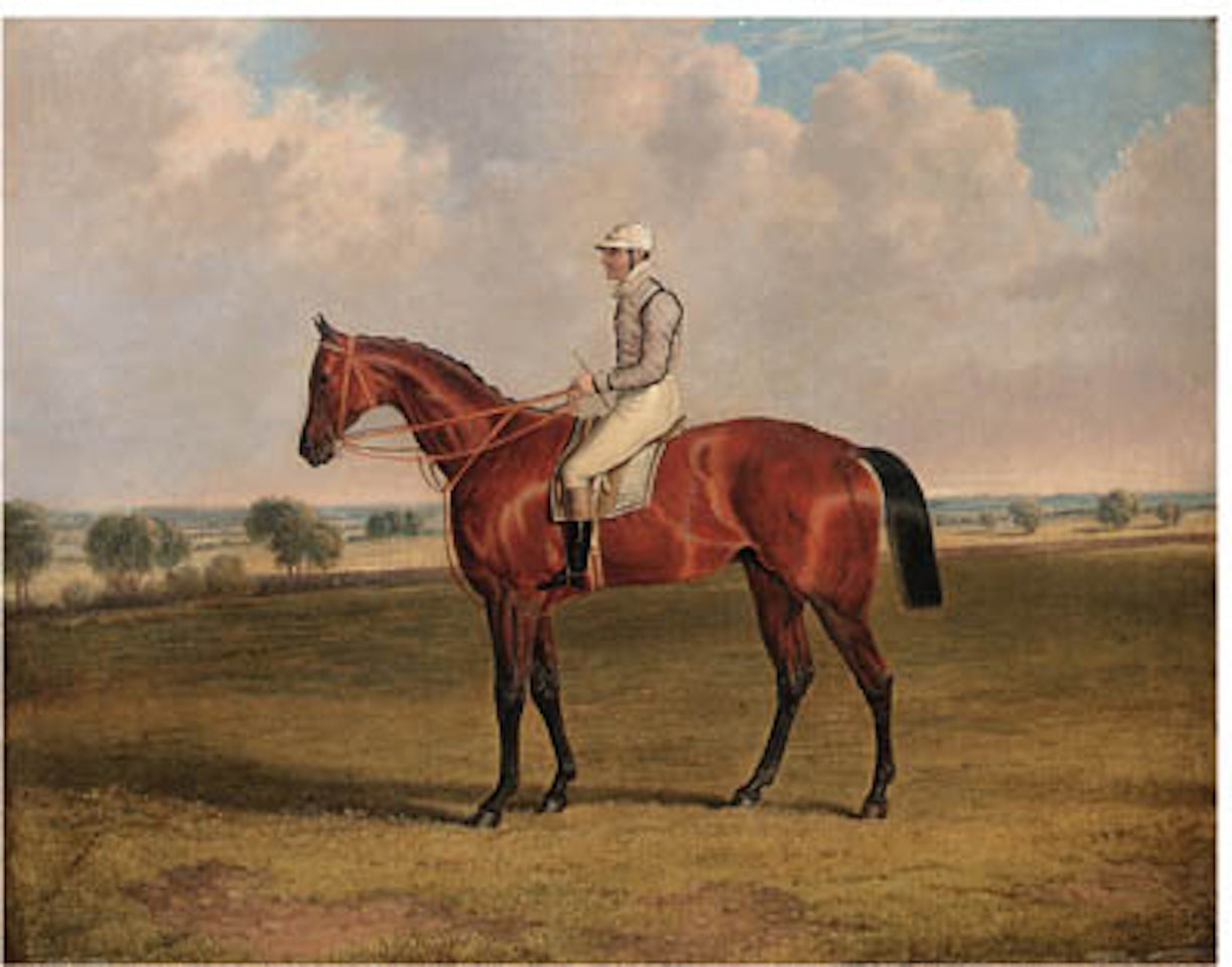 Mr. Robertson's racehorse Little Wonder, W. Macdonald up by John Frederick Herring