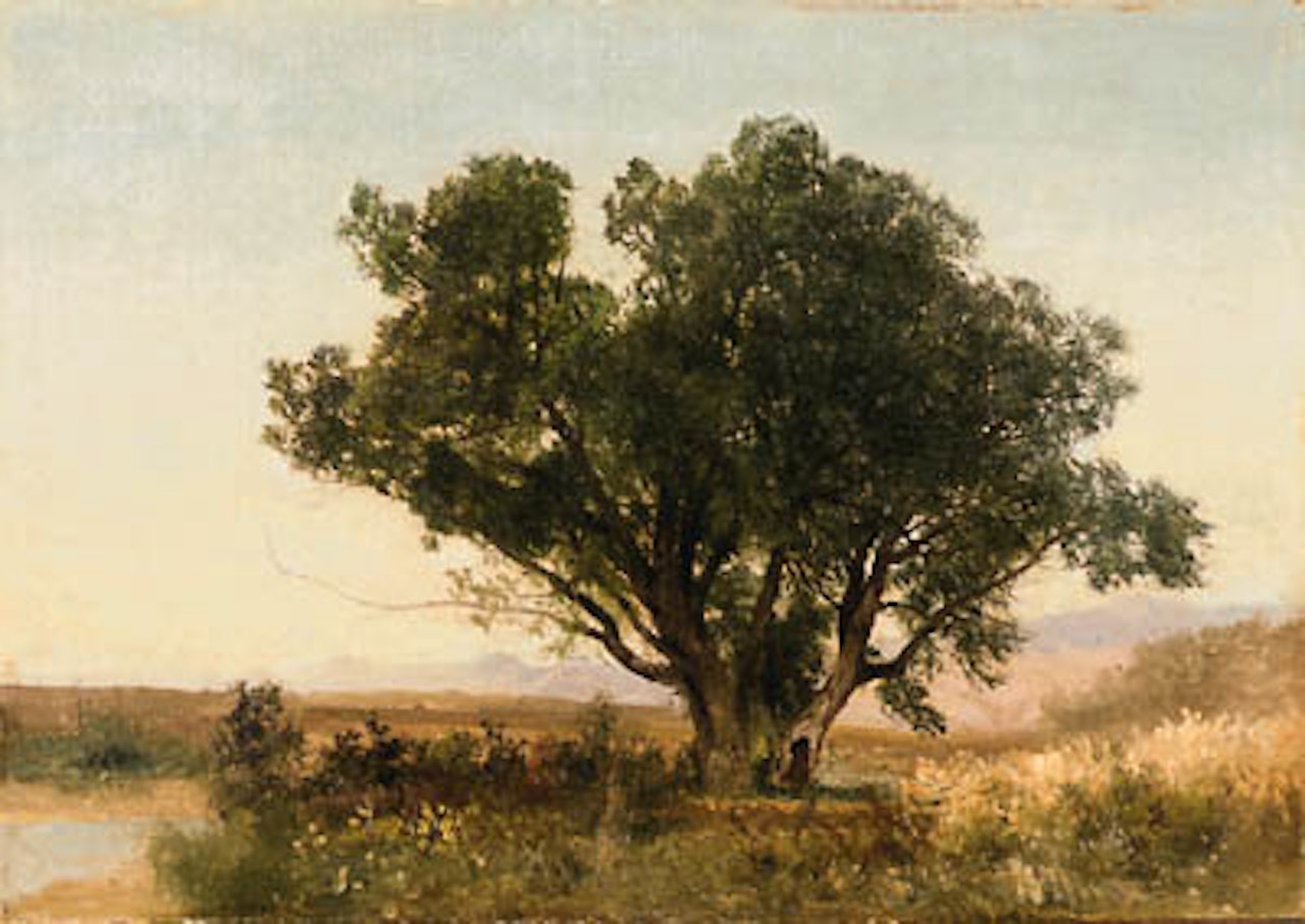 Front Range, Colorado by John Frederick Kensett