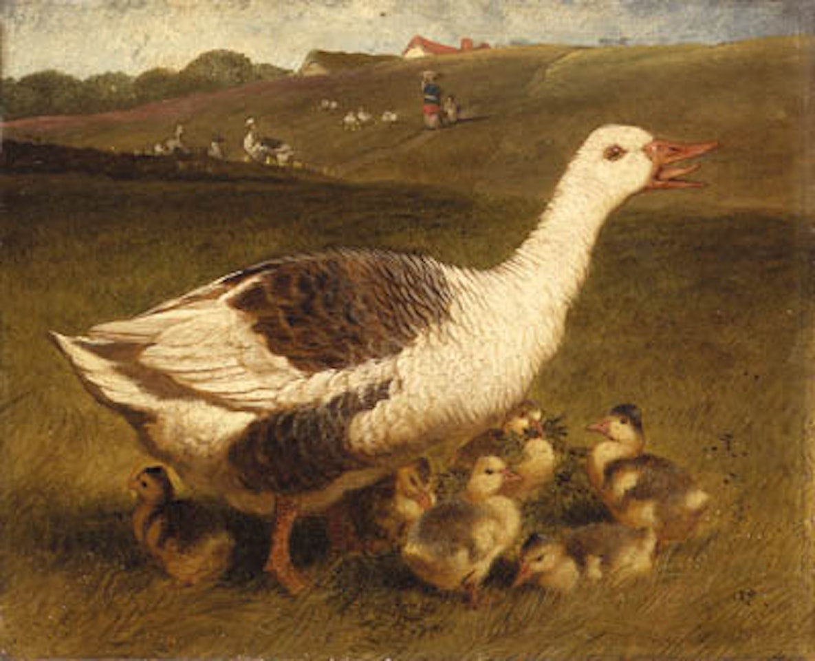 Goose and goslings by John Frederick Herring