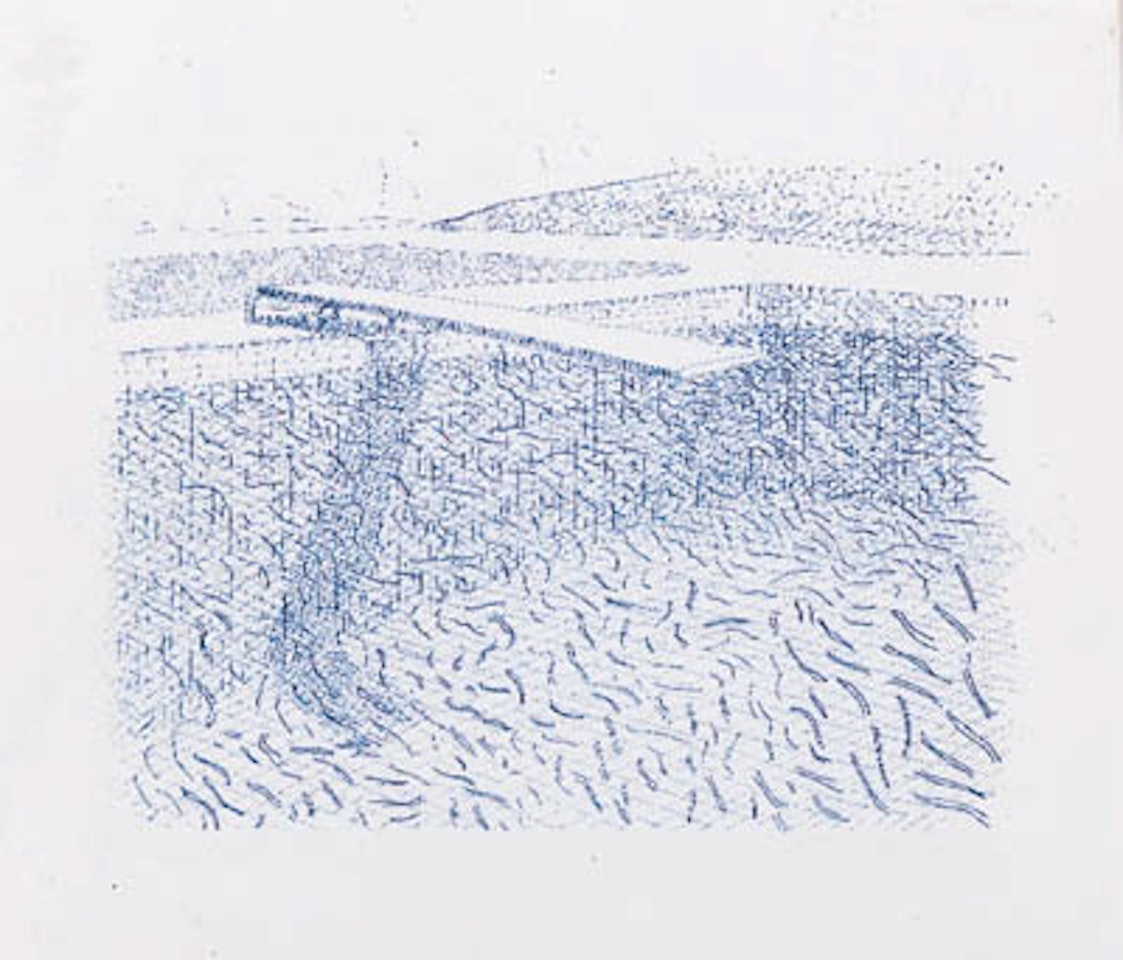 Lithographic water made of lines by David Hockney