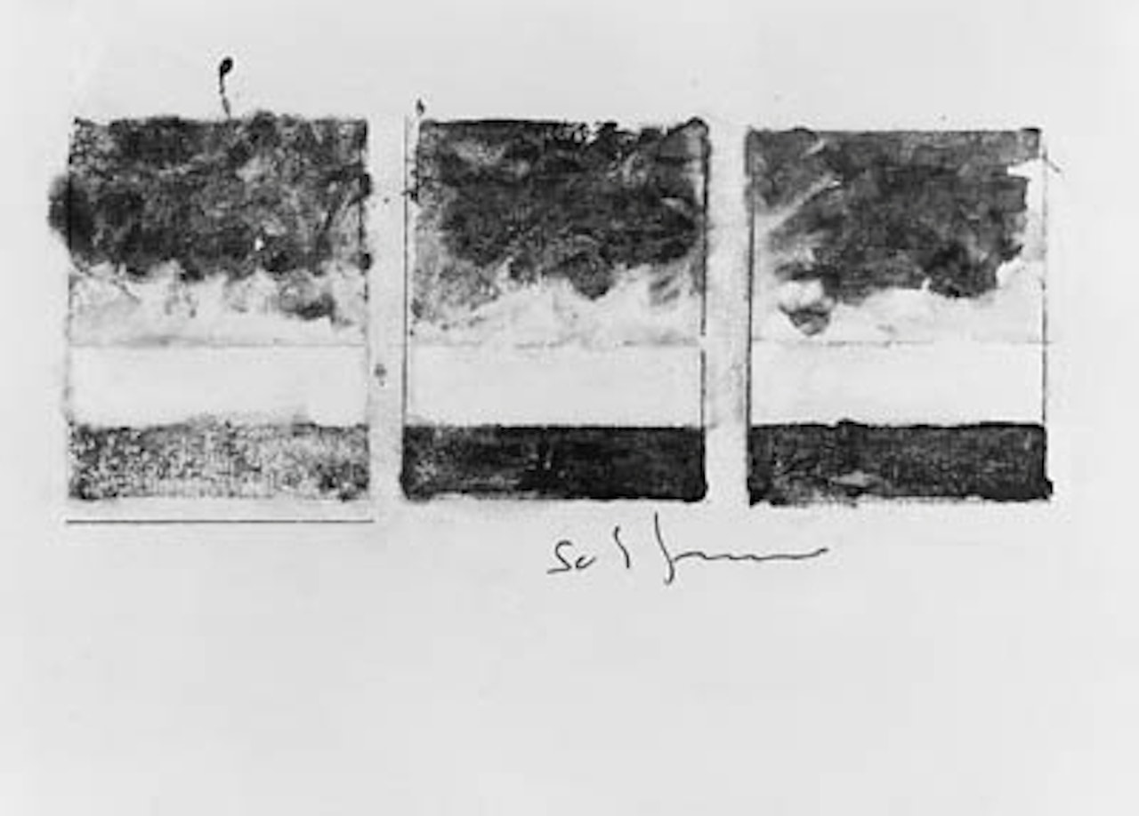 Paesaggio anemico by Mario Schifano