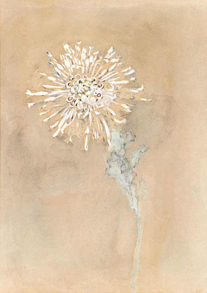 Chrysanthemum by Piet Mondrian