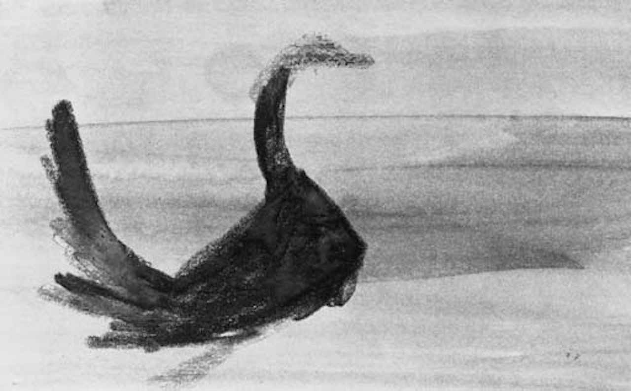 Cygnet by Sidney Nolan