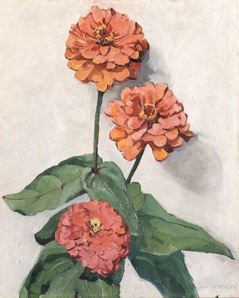 Pink zinnias by Jane Peterson