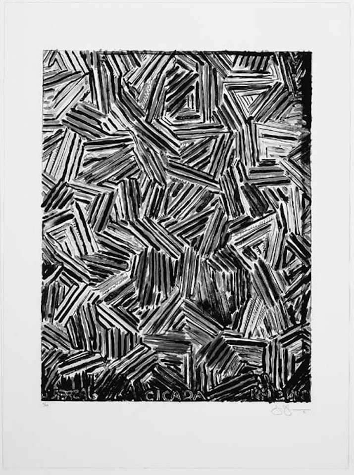 Cicada by Jasper Johns