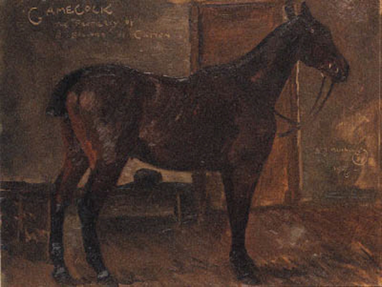 Gamecock - Bay hunter in loosebox by Alfred James Munnings