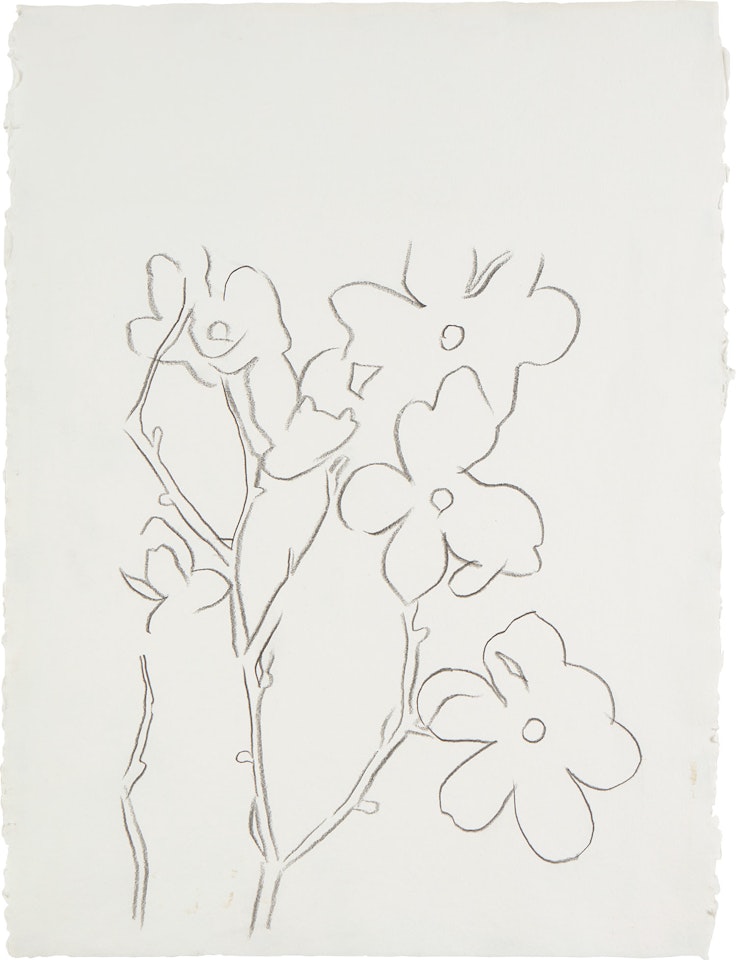 Flowers by Andy Warhol