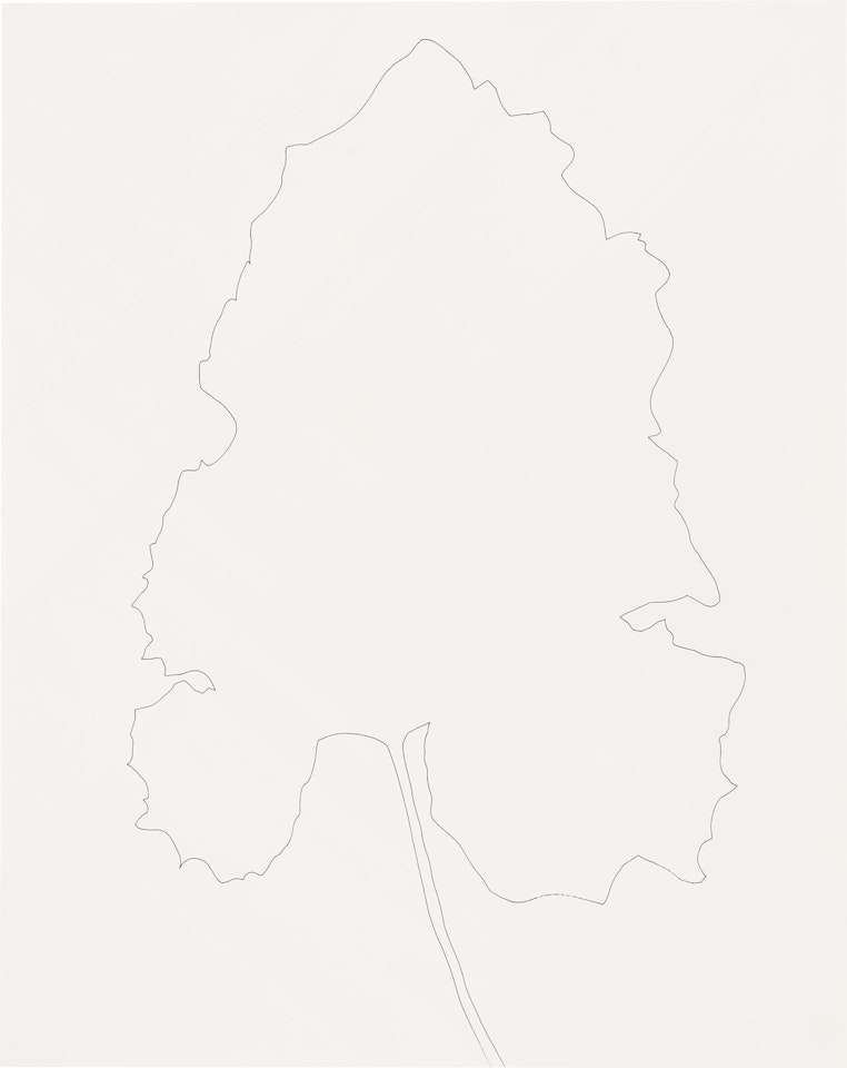 Burdock by Ellsworth Kelly