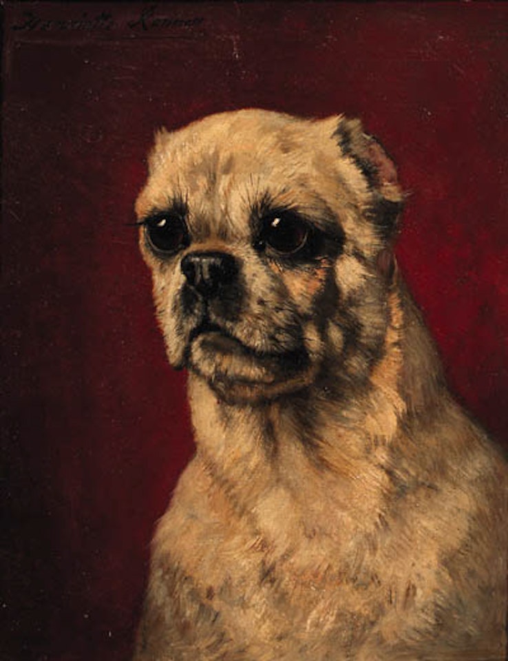 Portrait of puppy dog by Henriette Ronner-Knip