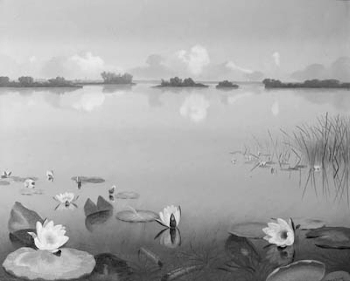 Water lilies in Loosdrechtse plassen by Dirk Smoorenberg