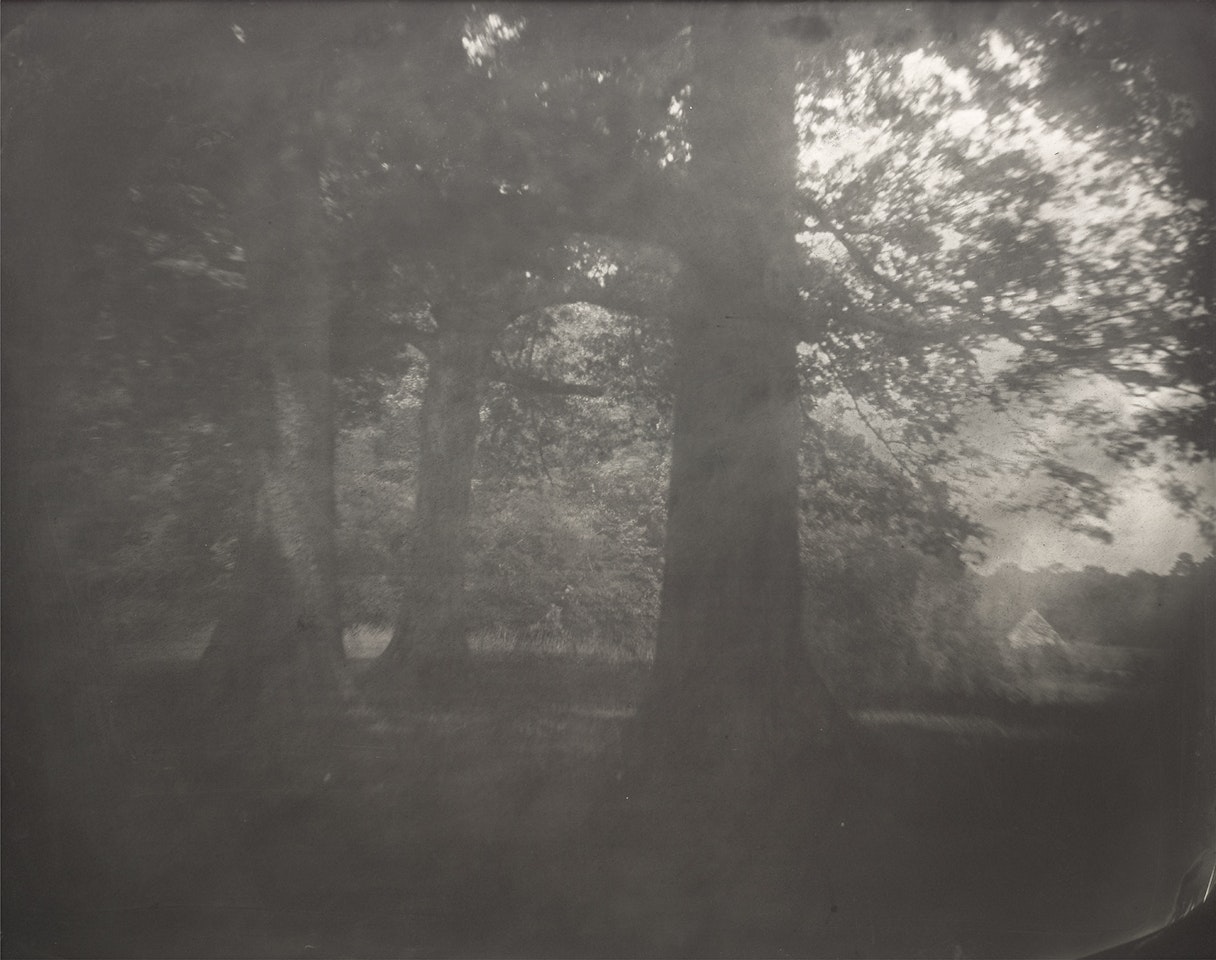 Untitled from Antietam by Sally Mann