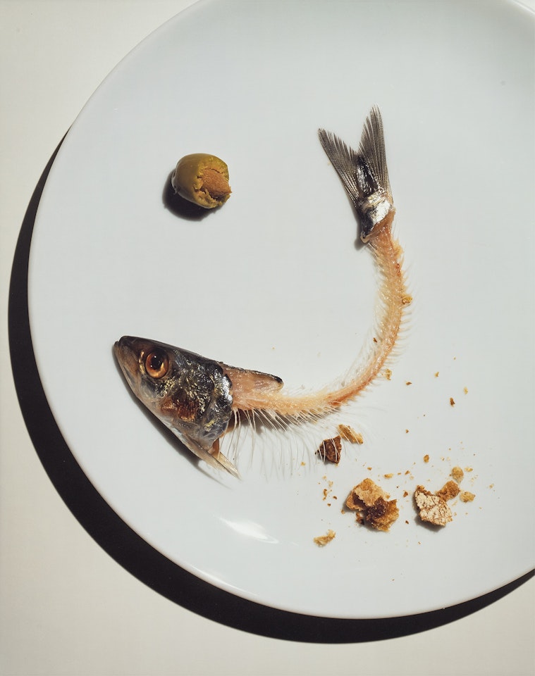 Fish Bones on a Plate, New York by Irving Penn