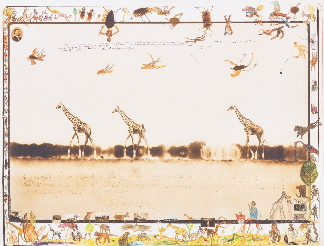 Giraffes in Mirage on the Taru Desert, Kenya, June by Peter Beard