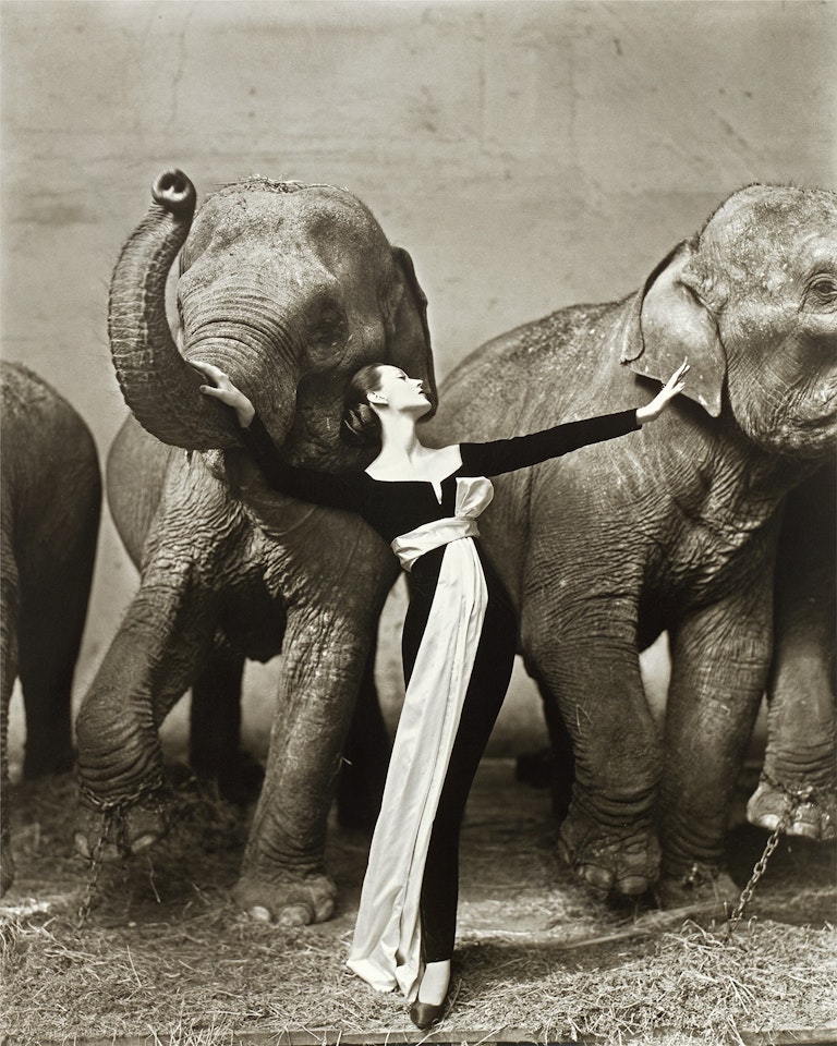 Dovima with Elephants, Evening Dress by Dior, Cirque d'Hiver, Paris, August by Richard Avedon
