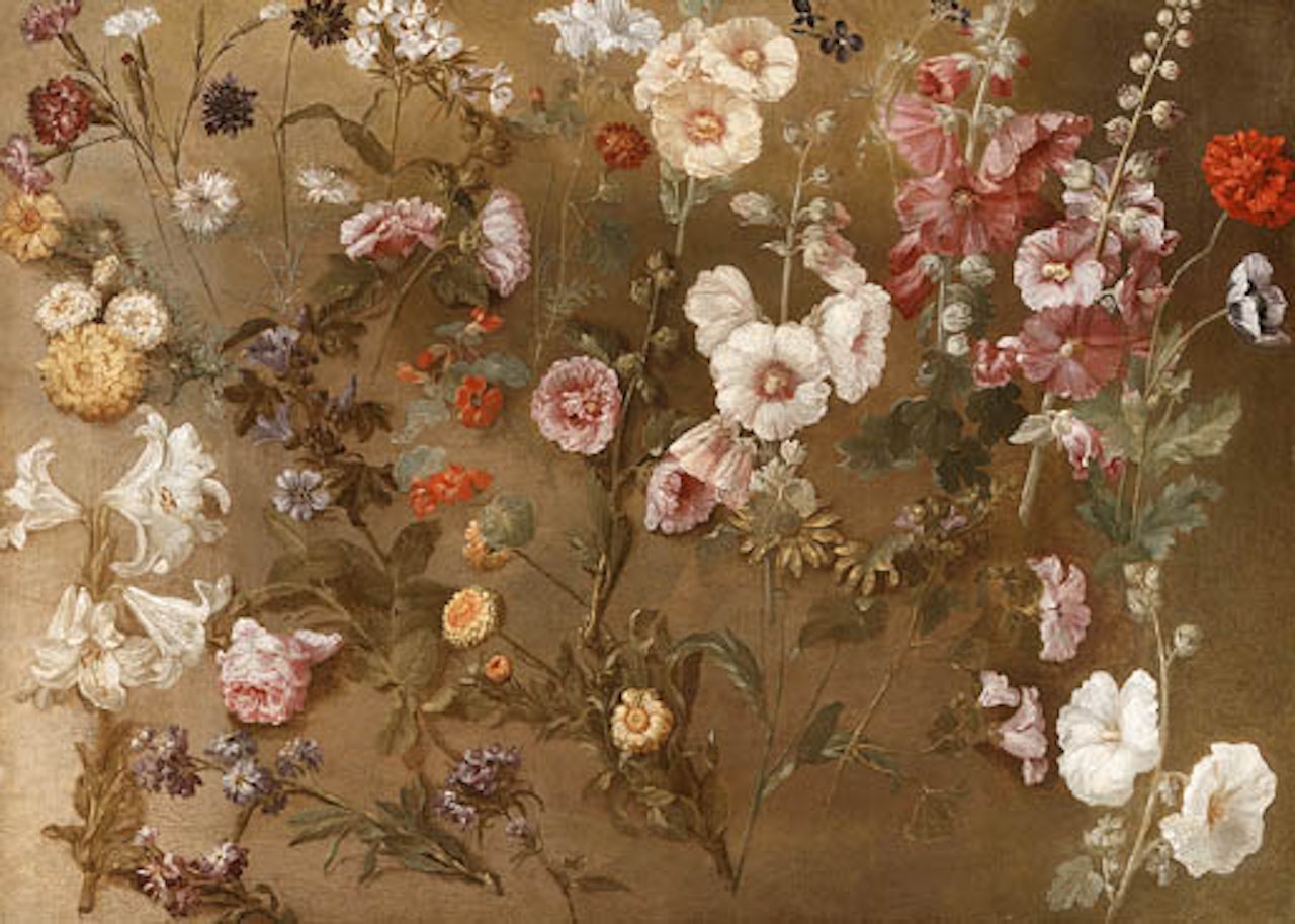 Flower studies including carnations, bouncing bet, poppies by Hyacinthe Rigaud
