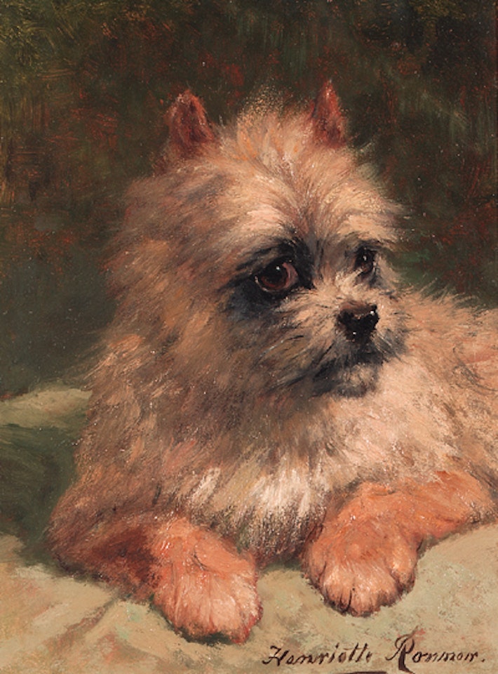 Terrier by Henriette Ronner-Knip