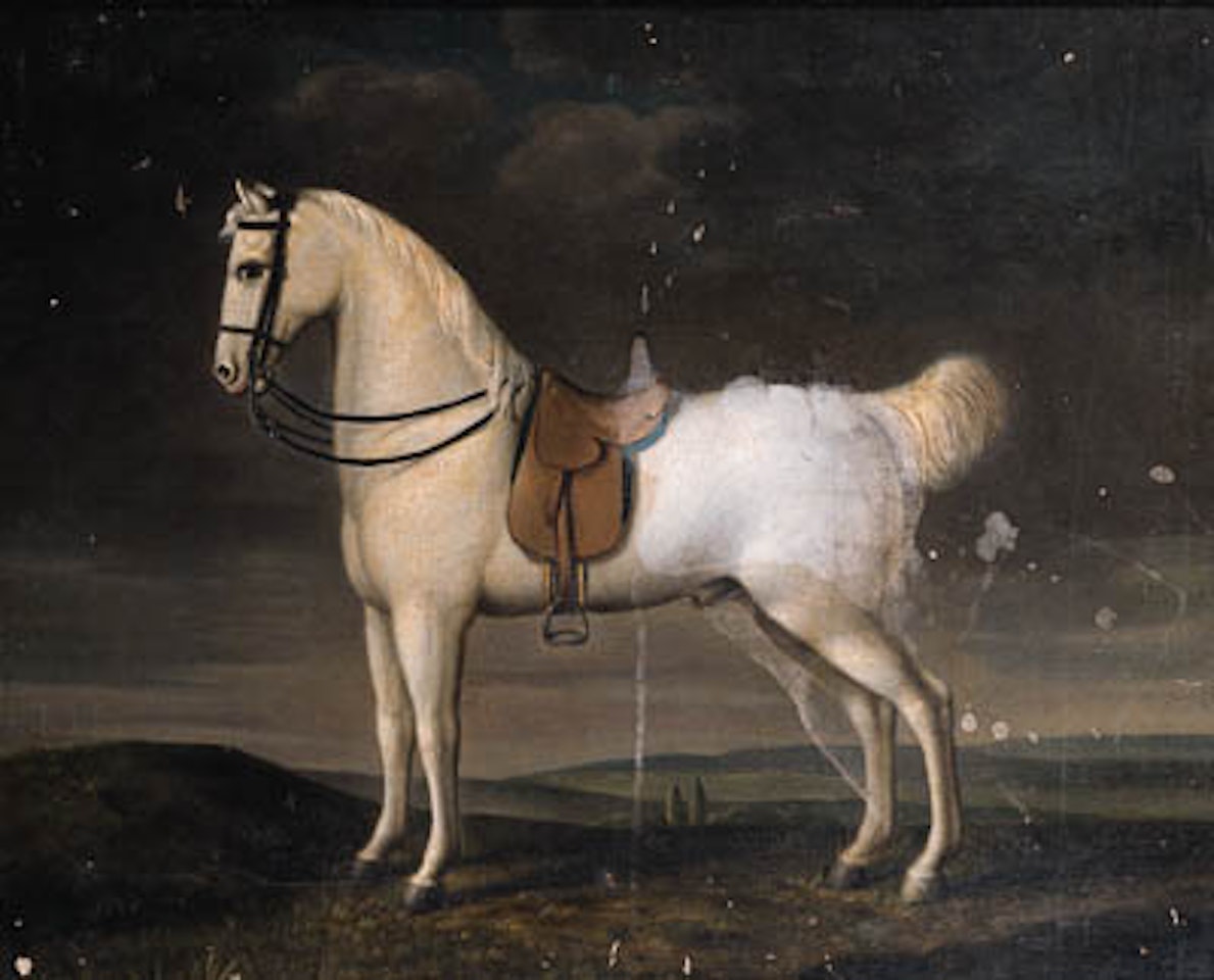 Portrait of grey Bostagnij, in landscape by German School