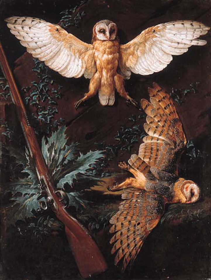 Dead barn owls and shotgun by Jean-Baptiste Oudry