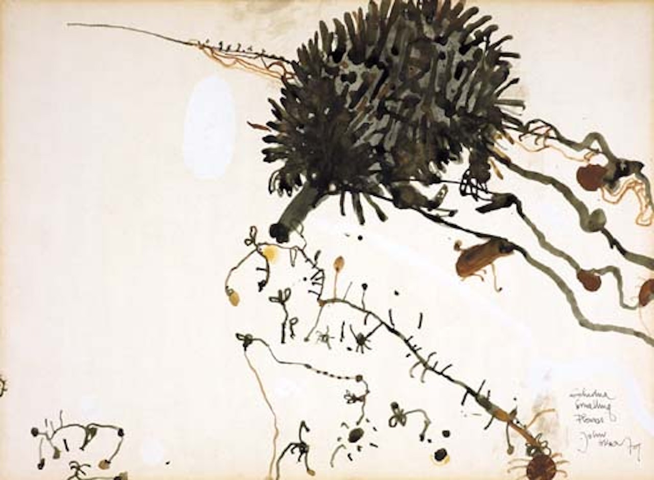 Echidna smelling flowers by John Olsen