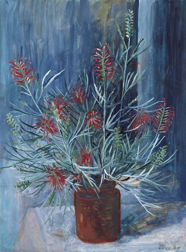 Grevillea by Margaret Hannah Olley