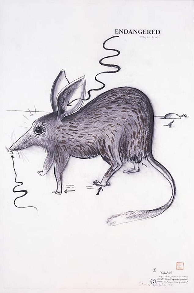 Endangered mabye gone by Brett Whiteley