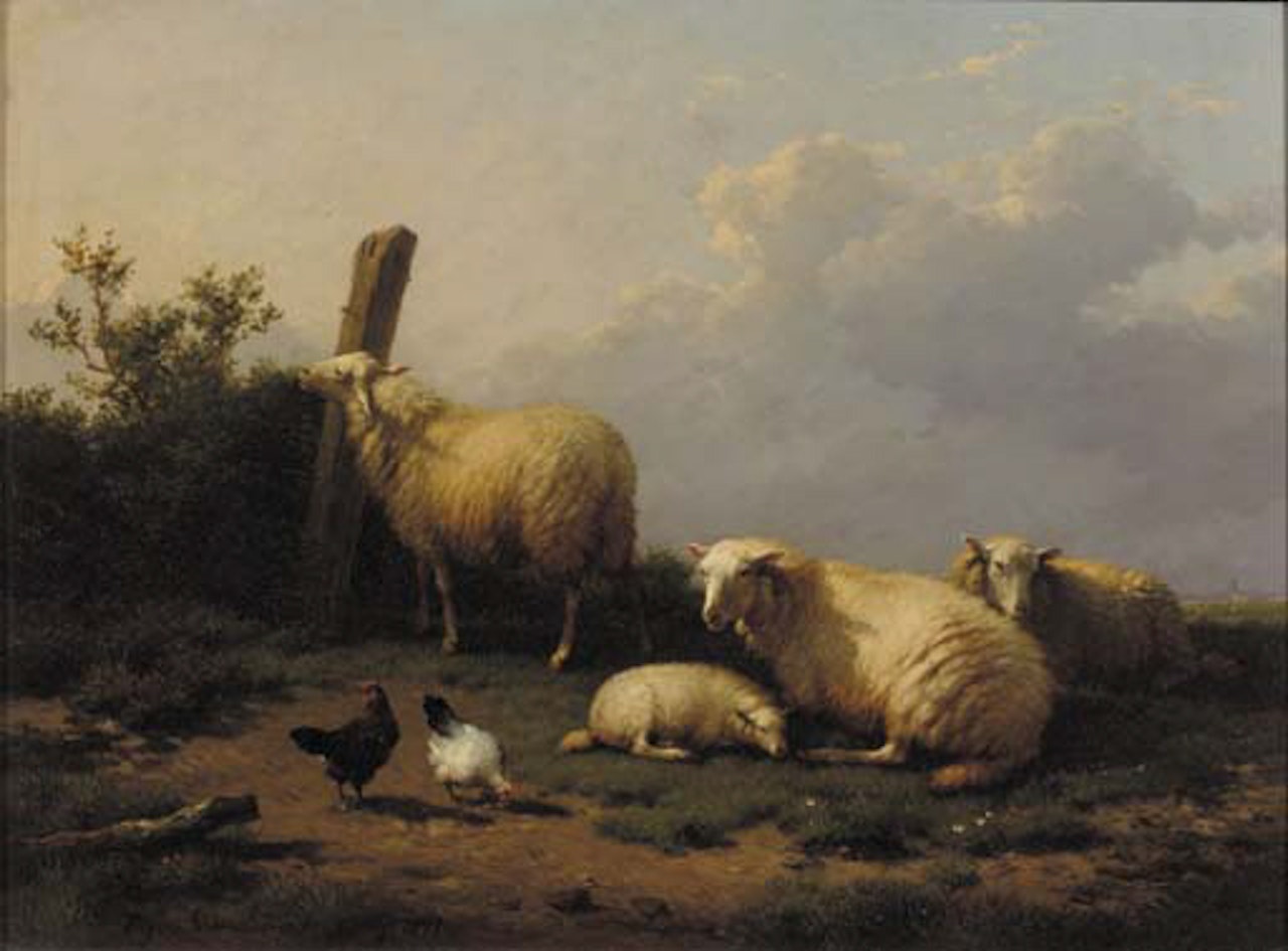 Sheep in a meadow by Eugène Joseph Verboeckhoven